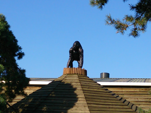 Statue of a Gorilla 