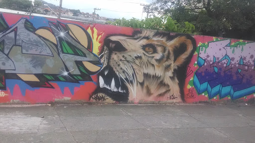 Grafite Lion
