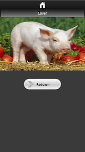 How to install Pig Picture Book for Kids 1.0 unlimited apk for android