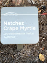 Natchez Crape Myrtle Sign