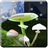 Magic Mushrooms LWP HD mobile app icon
