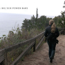 Big Sur Power Bars
