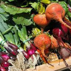 Gluten-Free Agave Parsnip Beet Cake