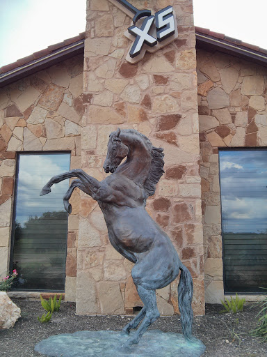 Steiner Ranch Steakhouse Stallion