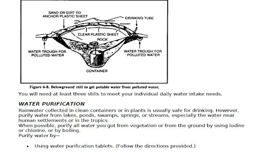 Survival Manual Guide US Army