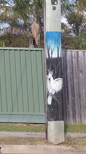 Cockatoo Pole