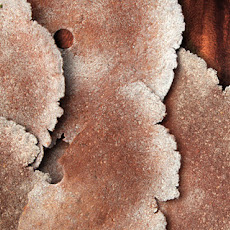 Crispy Rye Crackers  Recipe