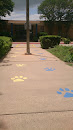 The Panther Paw Path