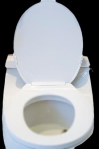 Flush Toilet