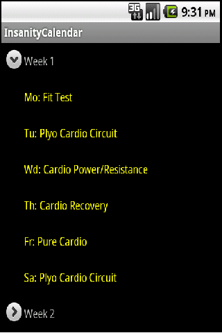 Insanity Workout Schedule PRO