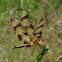 Halloween pennant