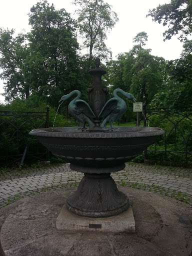Schwanenbrunnen Im Englischen Garten 