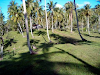 Vendo Hermosa Finca En Sanchez Samana Rep Dom
