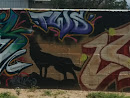 Coyote Mural