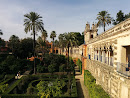 The gardens of Alcazar Sevilla