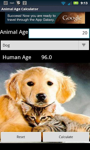 Animal Age Calculator Pro