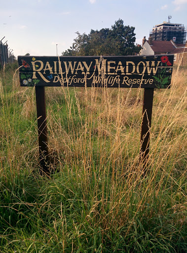 Railway Meadow 