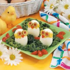 Cute Egg Chicks