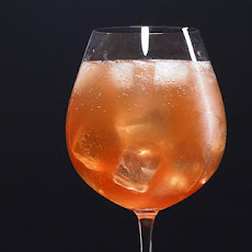 Sparkling Campari Cocktail Recipe
