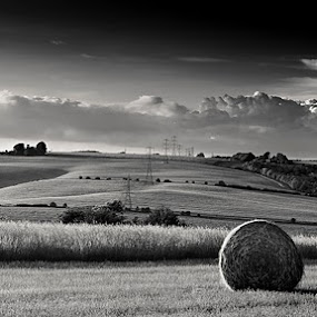 Birdlip by Nick Holland - Landscapes Prairies, Meadows & Fields