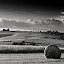Birdlip by Nick Holland - Landscapes Prairies, Meadows & Fields