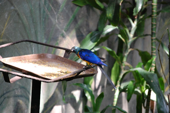 Spotting Image 1
