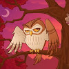 Mister Owley