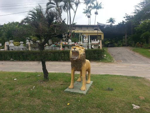 Leão De Chacara