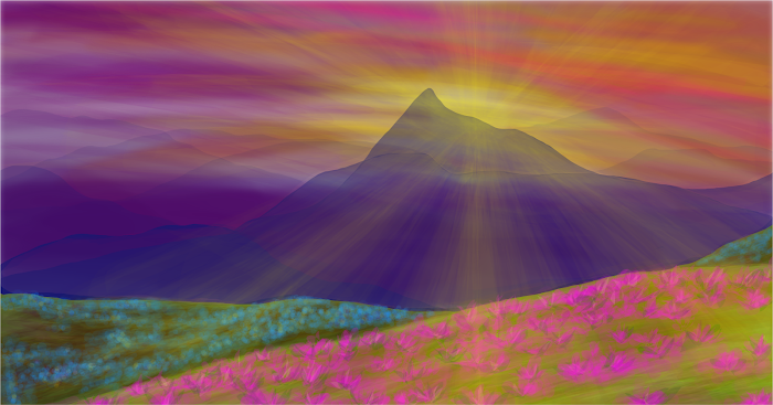 Wildflowers