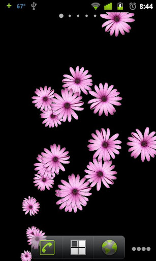 Pink Flower Live Wallpaper