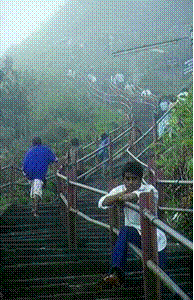 [3[2].gif]