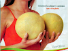 Melones De La Mas Alta Calidad