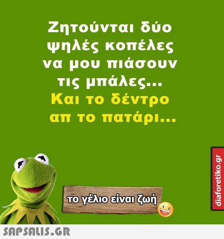 Ζητούνται δύο Ψηλές κοπέλες να μου πιάσουν Τις μπάλες και Το δέντρο απ το πατάρι ΤΟ Υέλιο!είναι ζωή 