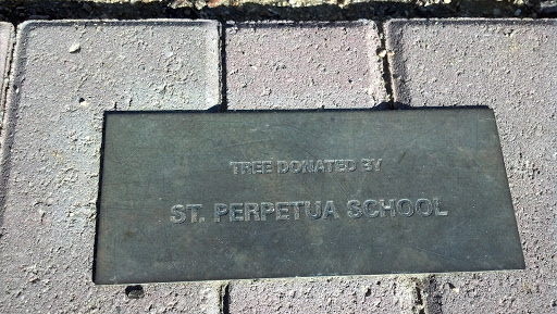 St. Perpetua School Tree