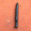 Millipede