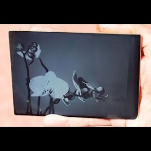 How to download Daguerreotype + Wet Collodion 0.1 mod apk for pc