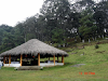 Quieres Divertirte Visitanos