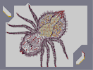 Thumbnail of the map 'Arachnid Step D'