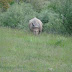 DSC00046.JPG