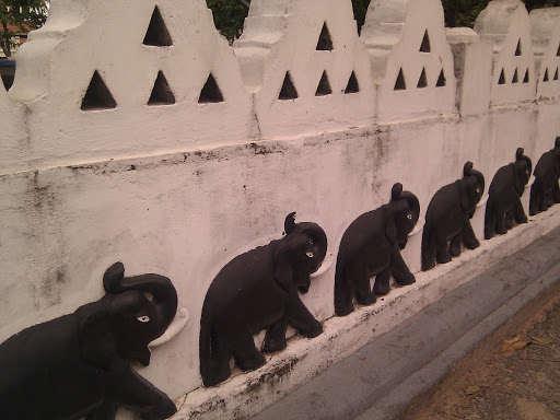 Parade of Elephants - Soysaramaya