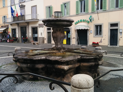 Fontana Del Bernini