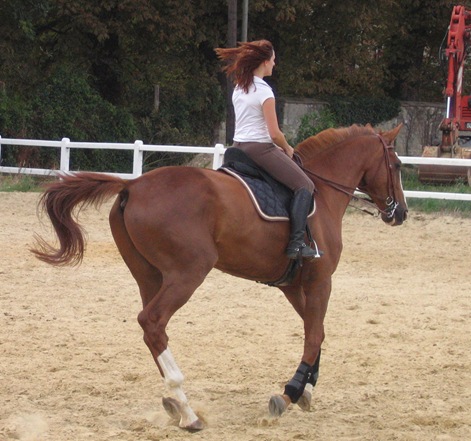 2008-08-14 chez Zazette 092