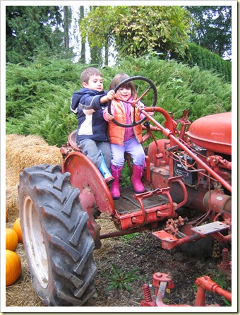 Pumpkin Patch Oct 2008 033