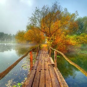 by Boris Frković - Landscapes Waterscapes