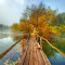 20111104_091546_099_HDR_FRX_SUNSH_POL.jpg