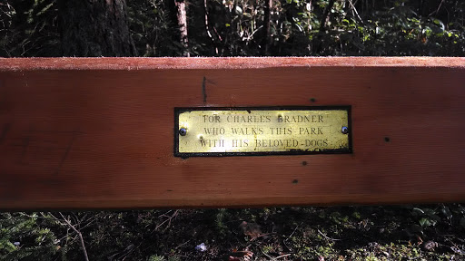 Charles Bradner Memorial Bench