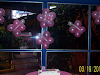 Decoracion De Globos Yess