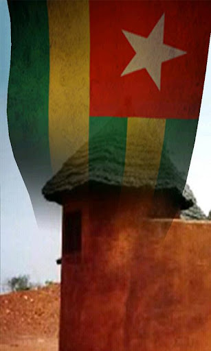 Flags of Africa 3D Free