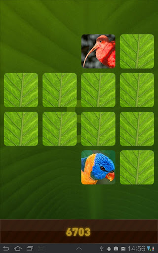 Jungle Memory Game