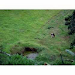 Linda Quinta En Tuis De Turrialba